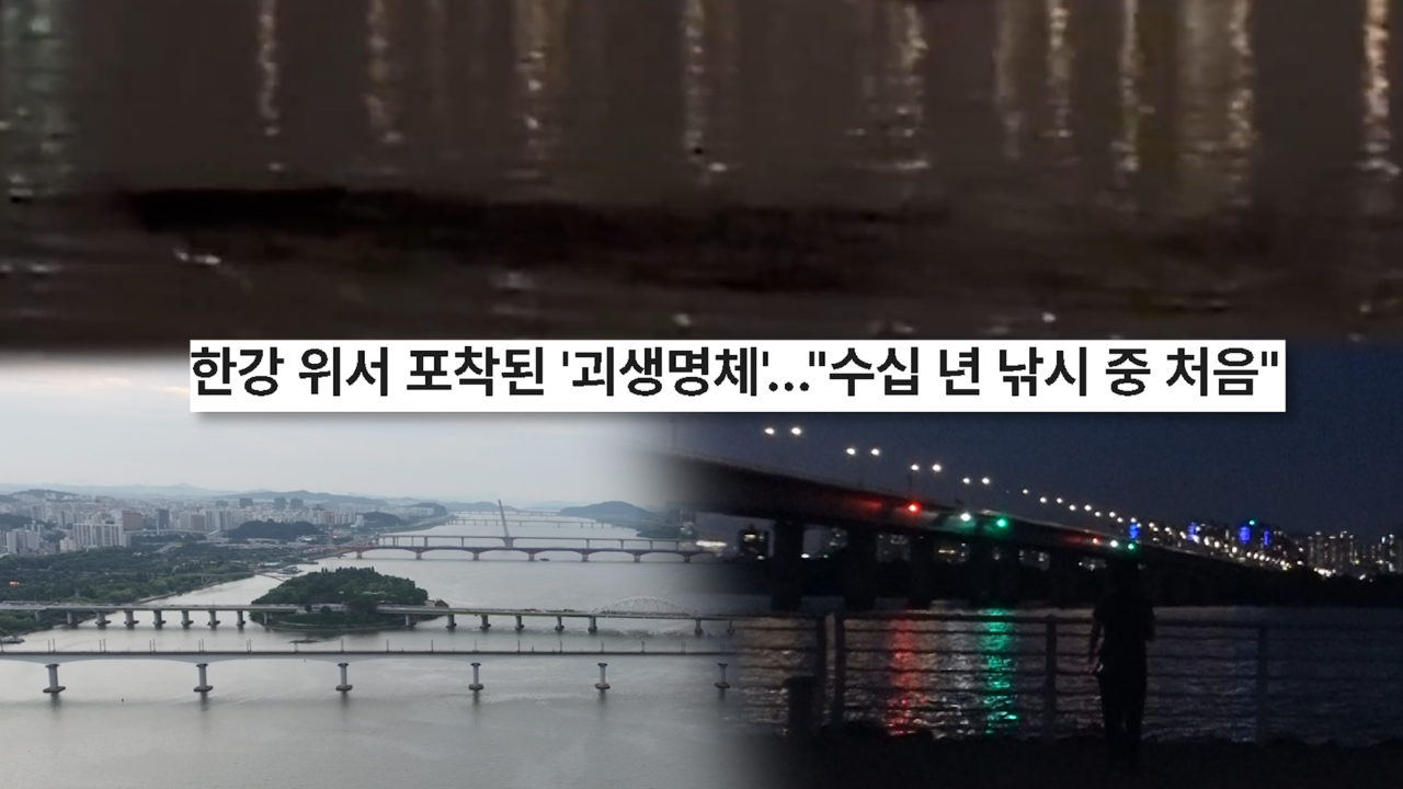 한강 일대를 뒤흔든 거대 ‘괴물’의 출현 - 그날 밤 무슨 일이 있었나?