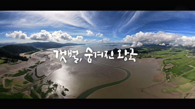 377회 갯벌, 숨겨진 왕국 썸네일
