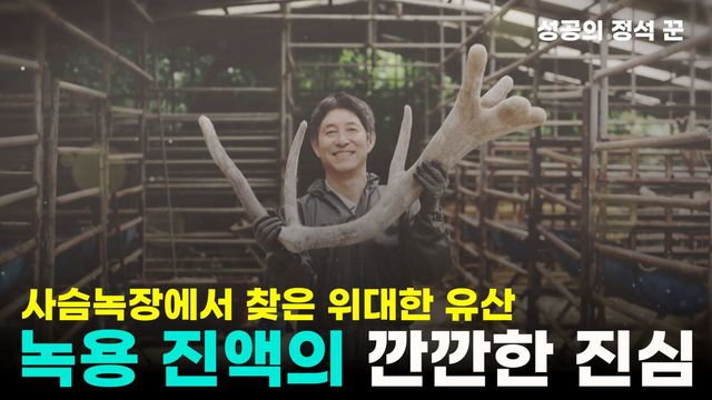 성공의 정석 꾼 : 다시보기 : SBS Biz
