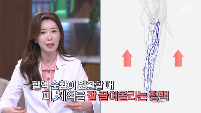 6회 혈관 찌든 때를 쏙~건강을 위한 혈관 빨래 방법 썸네일