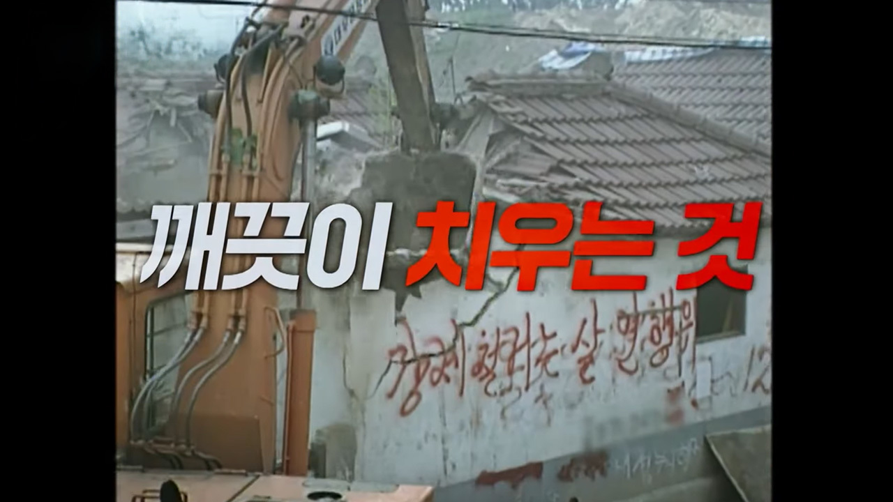 사라진 나의 집, 그리고 적준
