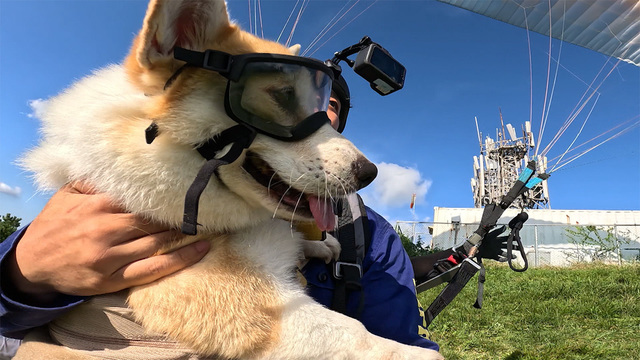 1,240회 루시코기와 세 친구의 좌충우돌 여행기 2편 썸네일