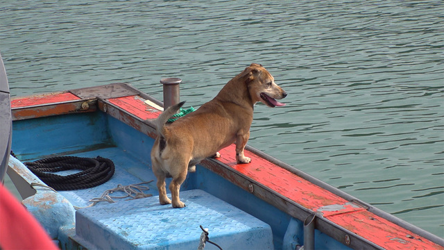 1,241회 관매도 슈퍼스타 루비 썸네일