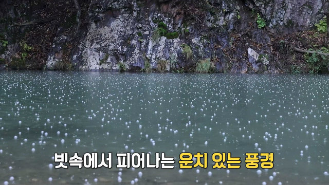 3,874회 물멍 VS 불멍 카페 썸네일