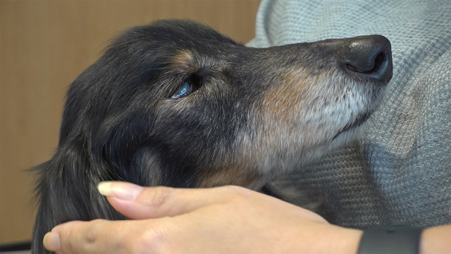 1,244회 심장이 뛴다 3편 - 미안해, 사랑해.. 썸네일