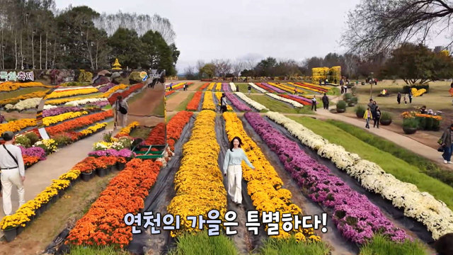 3,878회 연천, 가을에 물들다 썸네일