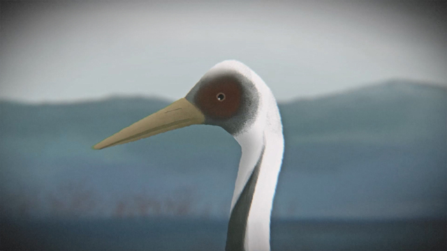 두루미 마을은 어떻게 탄생했을까? 821