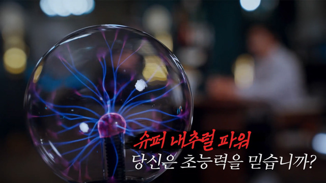 꼬리에 꼬리를 무는 그날 이야기