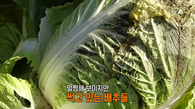 8,744회 “숨도 못 쉬어” 공장 지하서 유독물질 펑! 썸네일