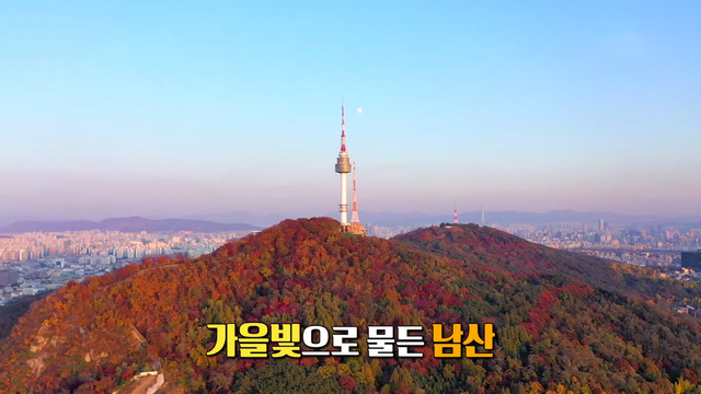 3,891회 가을빛으로 물든 남산 숲길 썸네일