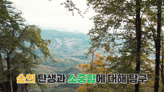 1,434회 숲 탐구 썸네일