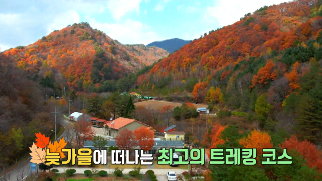 3,899회 늦가을, 문경을 걷다 썸네일