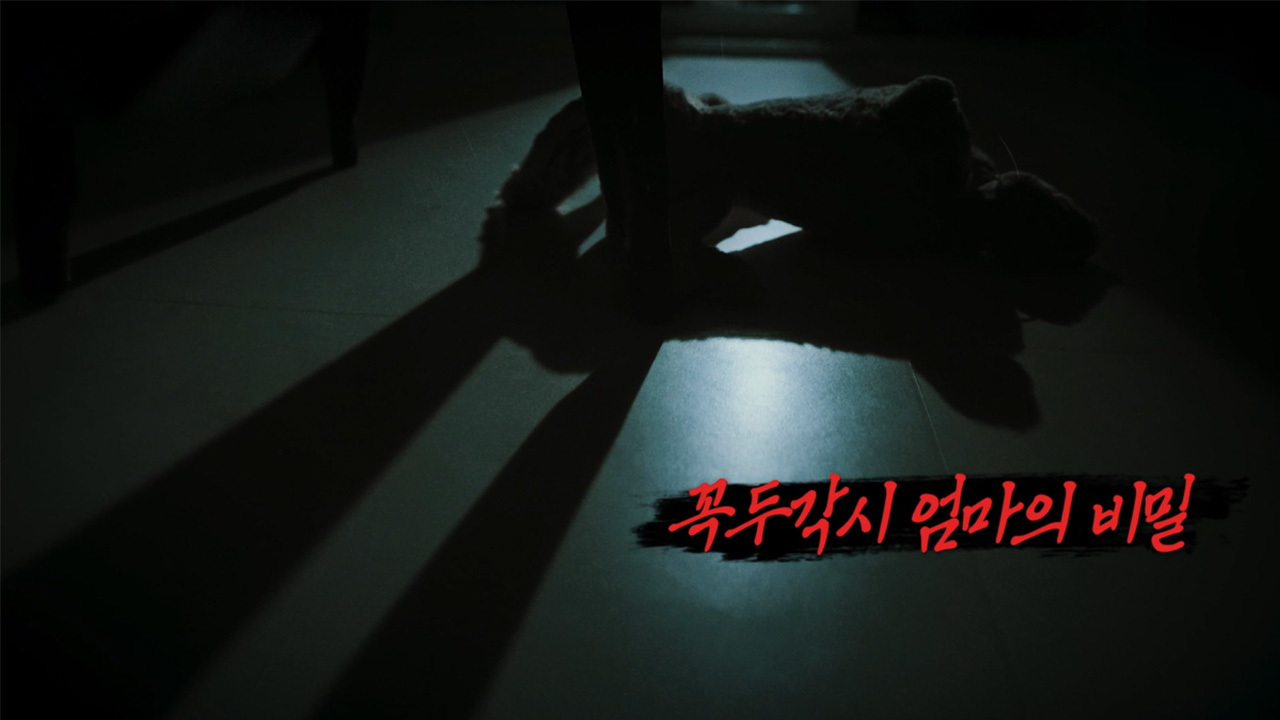 꼭두각시 엄마의 비밀