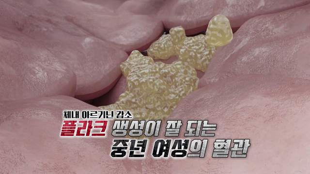 21회 나 홀로 섬에 썸네일