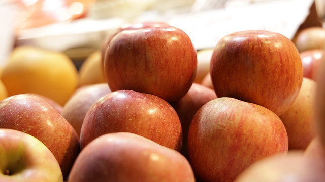 8,777회 사과 잡학사전 썸네일