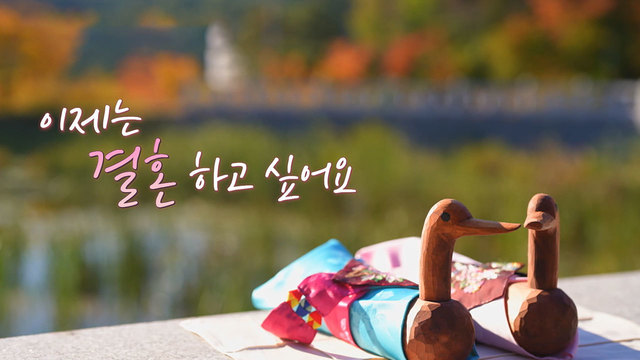 결혼하러 왔습니다 1