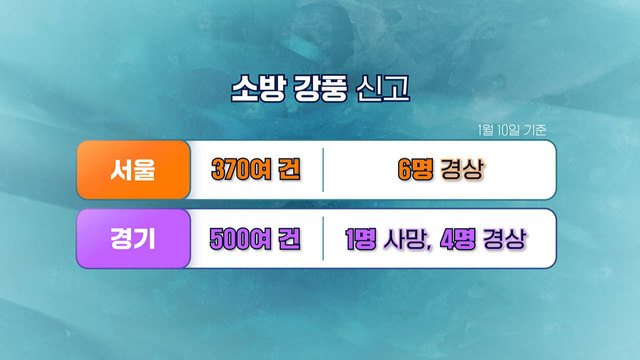 8,787회 20대 행인 사망 강풍 피해 속출 썸네일