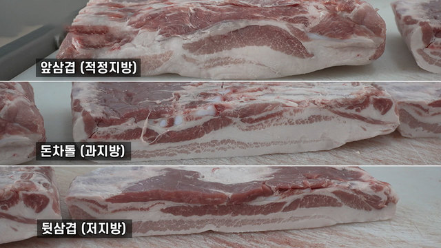 8,789회 삼겹살, 지방 함량으로 세분화? 썸네일