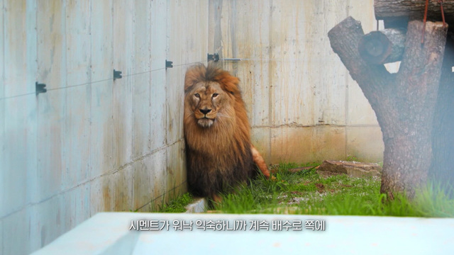 나는 이상한 동물원의 이상한 수의사다. 1