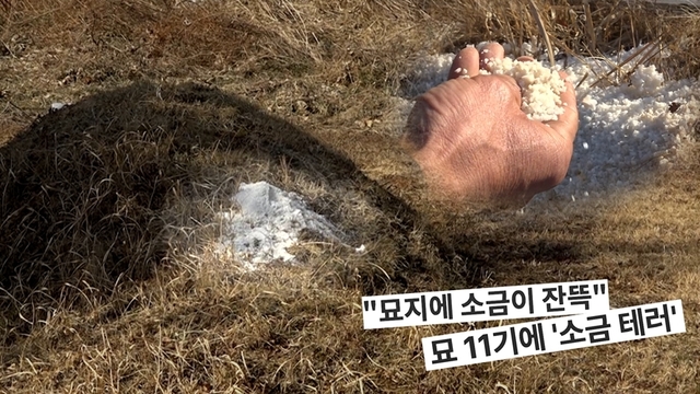 궁금한 이야기 Y