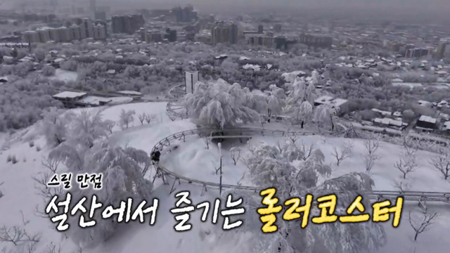 미운 우리 새끼