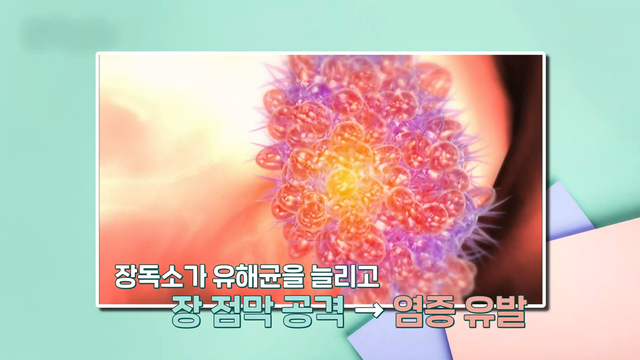 07222회 장과 면역 살리는 밥상의 법칙 썸네일