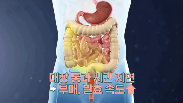 07226회 닥터 필생(生)기 썸네일