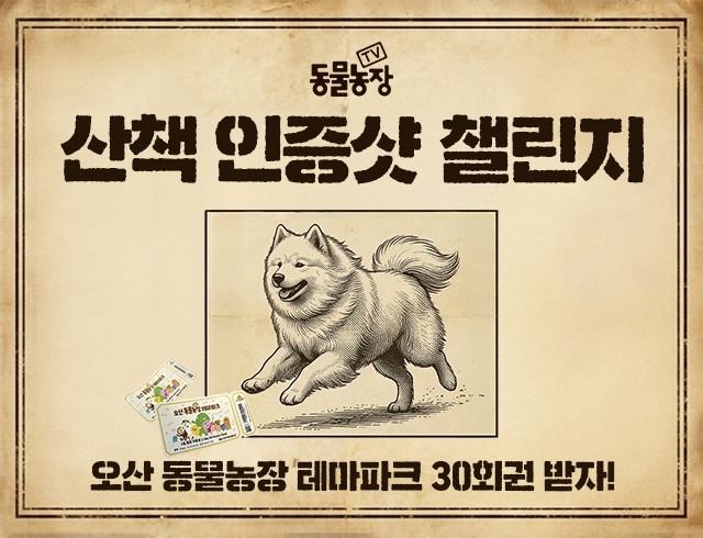 산책 인증샷 챌린지