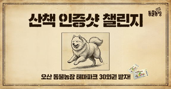 [동물농장] 산책 인증샷 챌린지