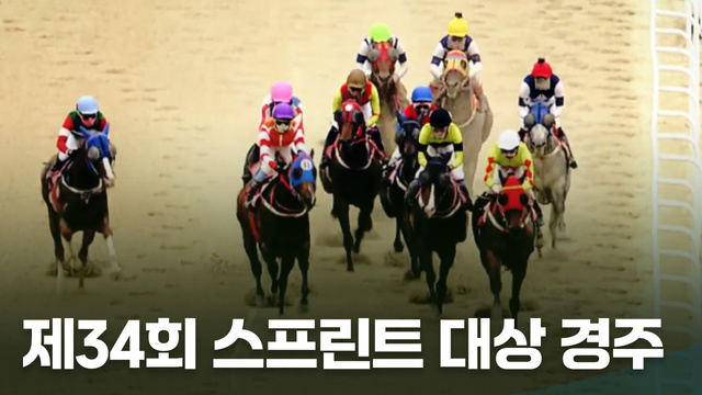 237회 제34회 SBS스포츠 스프린트 대상경주 썸네일