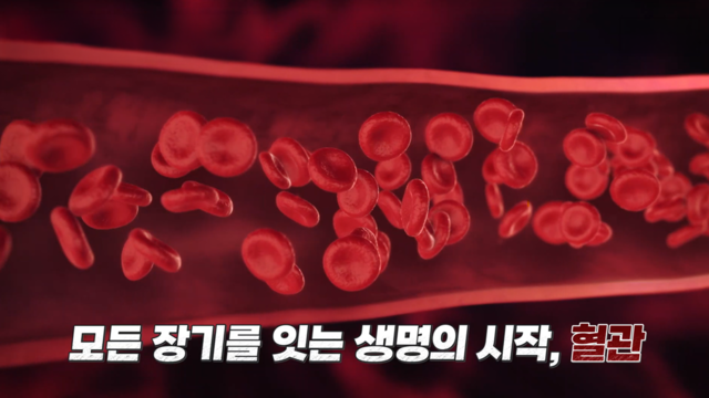 식탁에서 시작된 혈관의 위기, 하이퍼셀 오메가3 7