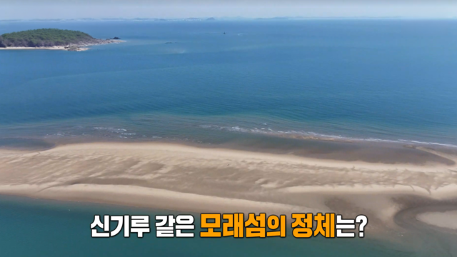 3,998회 신기한 모래섬의 비밀 썸네일