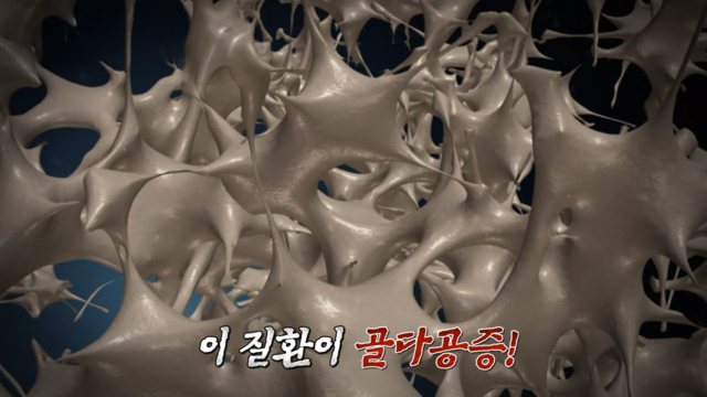 하이퍼셀 비타민K2 편 8