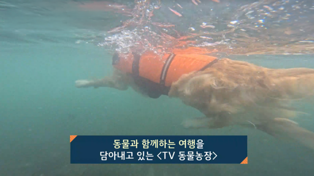 1,418회 SBS 프로그램이 여행을 그리는 방식 썸네일