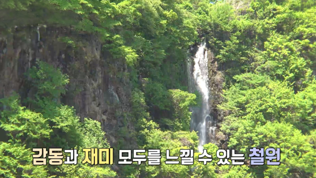 4,010회 철원 봄 여행 썸네일