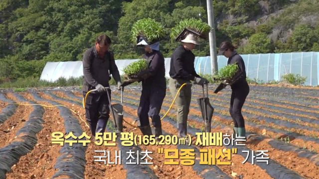 1,032회 모종 심기 가족 달인 外 썸네일