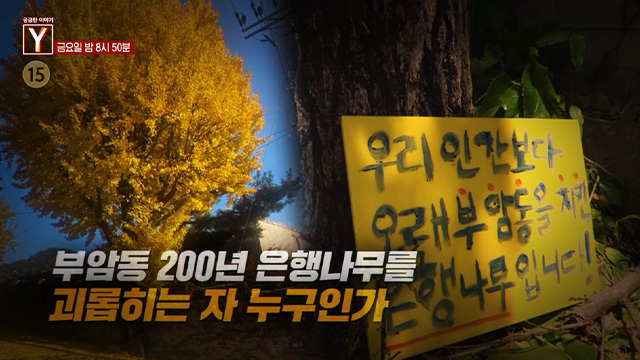 [5월 29일 예고] 부암동 200년 은행나무를 괴롭히는 자 누구인가 / 주식천재 복덩이의 귀환