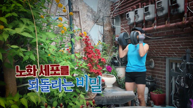 00400회 노화 세포를 되돌리는 비밀 썸네일