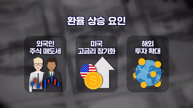 8,891회 환율 1,560원대 돌파! 서민 경제 영향은? 썸네일