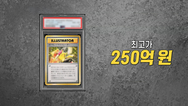 8,904회 포켓몬카드 400만원 어치 훔쳐간 촉법소년, 처벌은? 썸네일