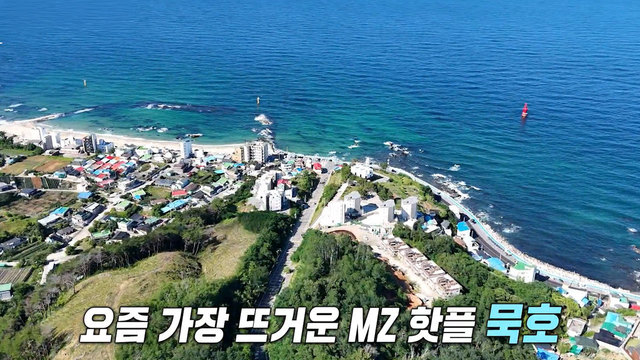 MZ 핫플 묵호 가자 4039