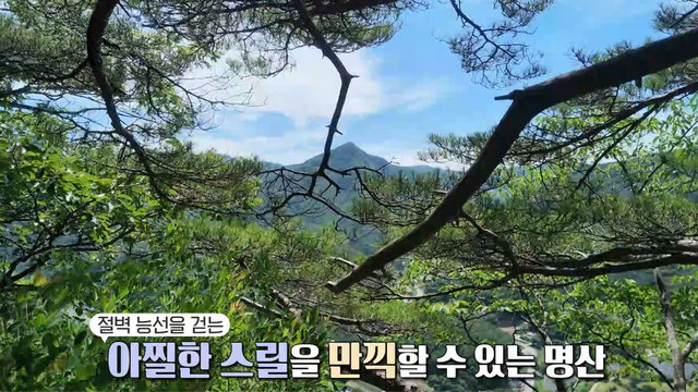동강 물굽이를 내려다보는 산, 백운산! 4042