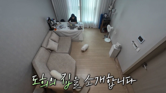 미운 우리 새끼