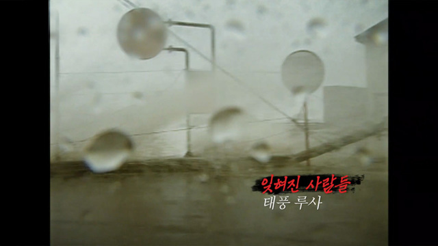 꼬리에 꼬리를 무는 그날 이야기