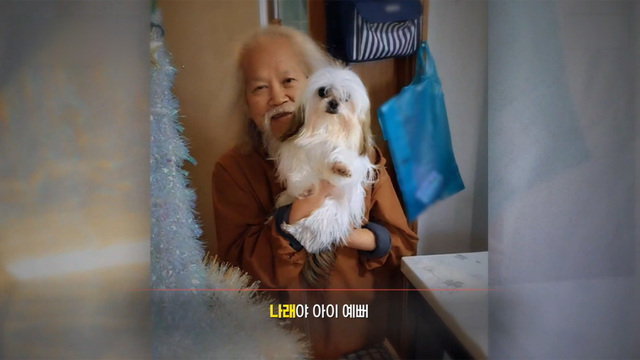 궁금한 이야기 Y