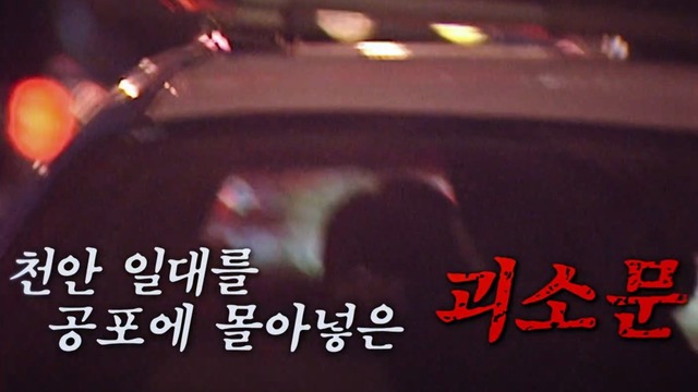 꼬리에 꼬리를 무는 그날 이야기