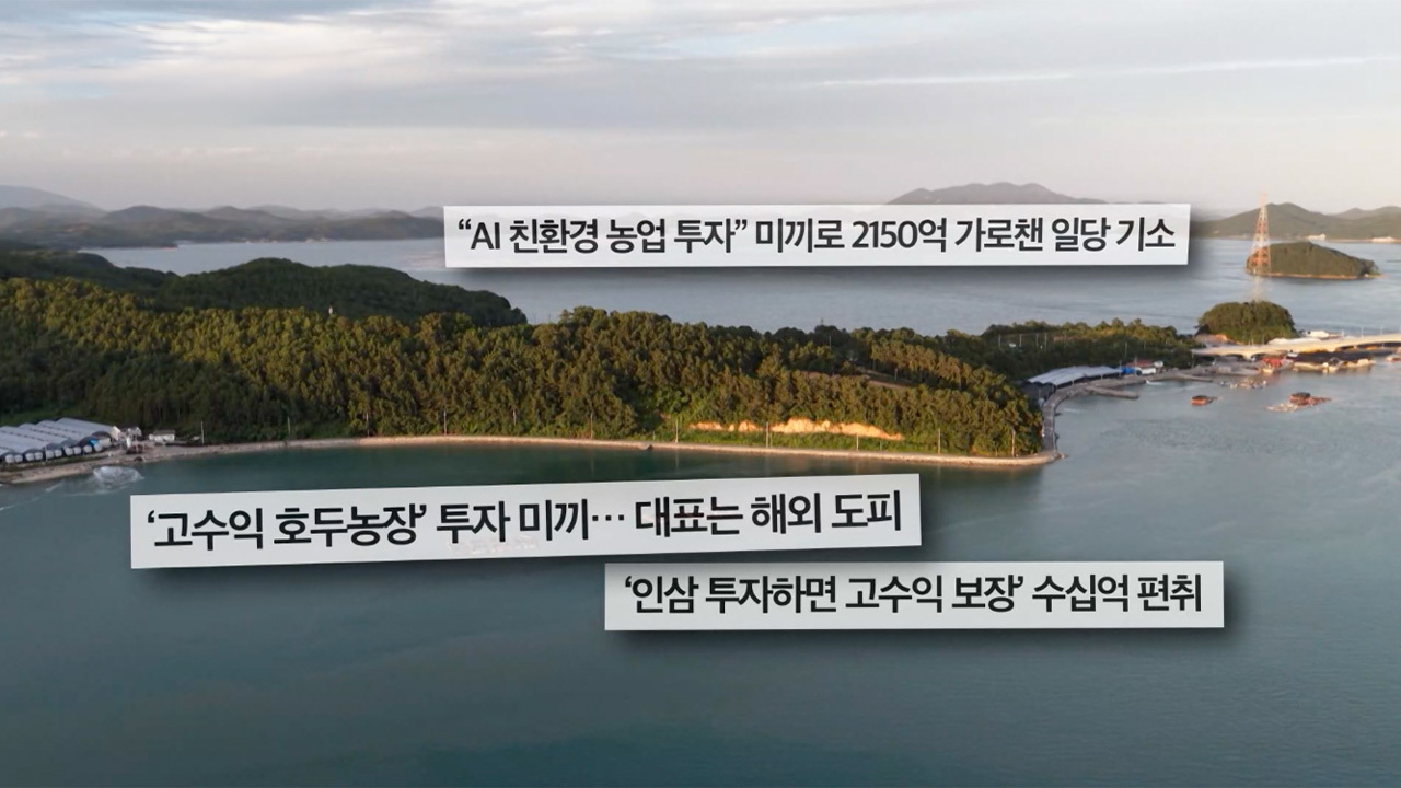 참돔이 사라졌다 - 그 많던 물고기는 어디로 갔나