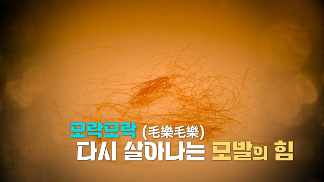 405회 모락모락 다시 살아나는 모발의 힘 썸네일
