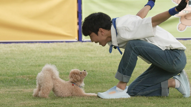 TV 동물농장