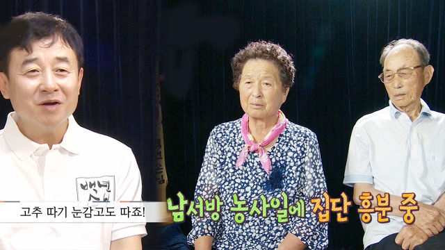 남재현, 허세 가득 허술한 고추 따기에 장인 장모 '폭풍 타박'